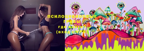 МДПВ Абаза